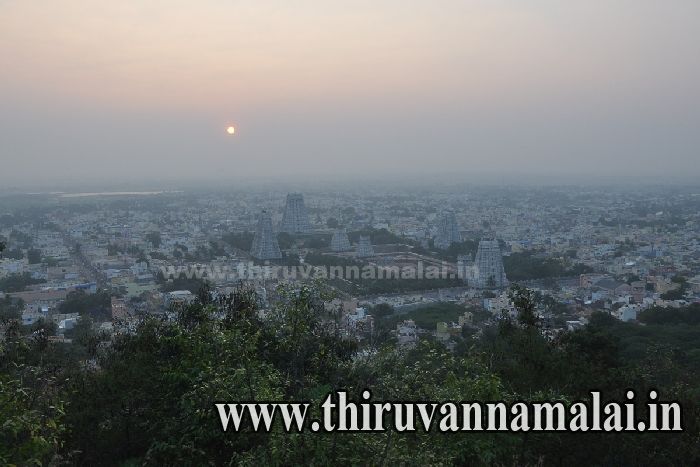 Tiruvannamalai Temple Top View