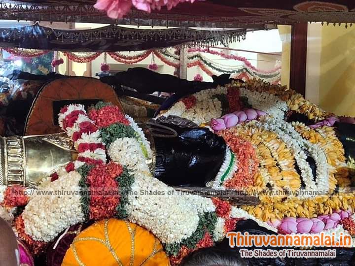 athi varadar images 2019